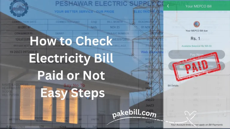 How to Check Electricity Bill Paid or Not – Easy Steps